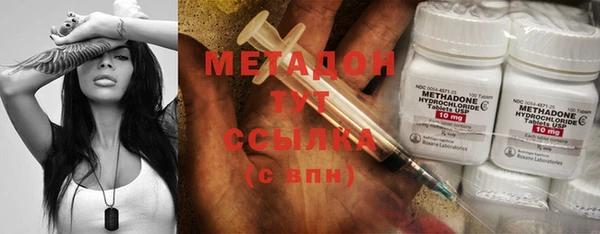 индика Богданович