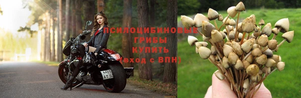 COCAINE Богородицк