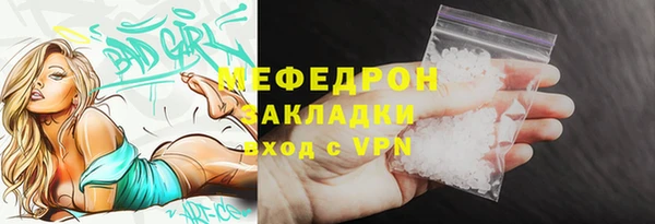 индика Богданович