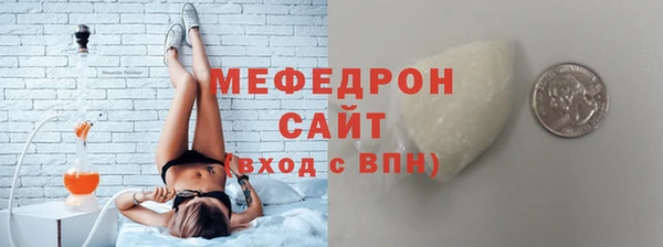 индика Богданович