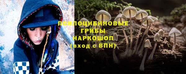 молекула духа Нея