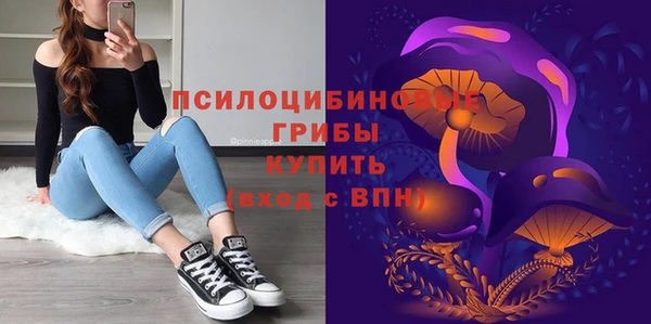твердый Бородино