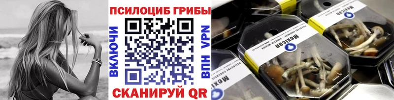 Галлюциногенные грибы Psilocybine cubensis Каменка