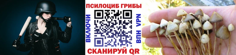 Псилоцибиновые грибы Cubensis  Каменка 